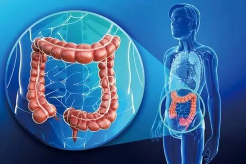 Pelvic autonomic nerve monitoring during rectal cancer surgery